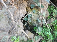 cantara piccole gole19022012 062